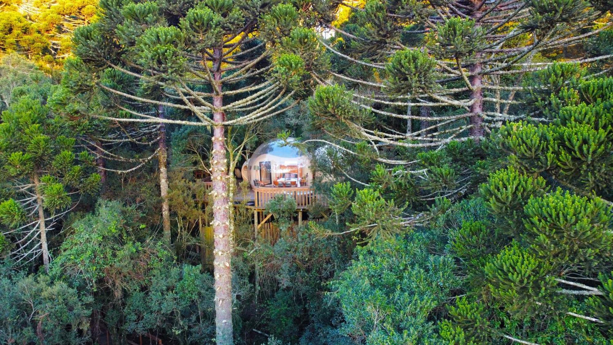 Zion Bubble Glamping Urubici Exterior foto